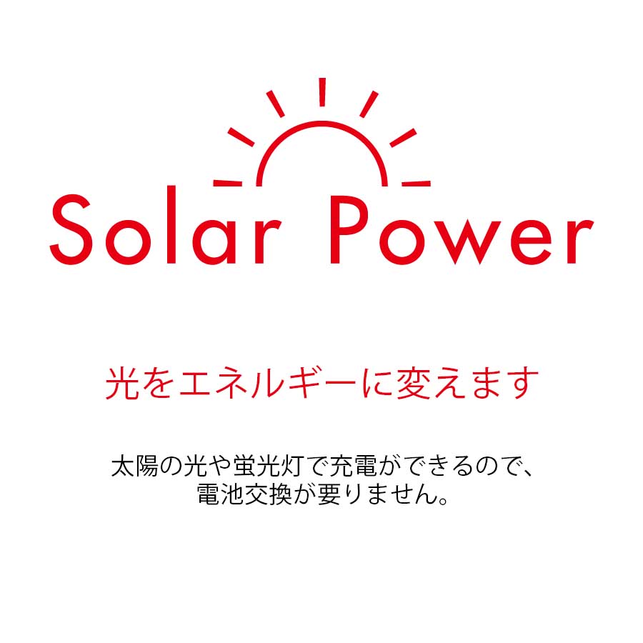 ハリー・ポッター バーティー・ボッツの百味ビーンズ Q&Q SmileSolar